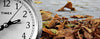 Five mistakes you should avoid when buying a watch (PART II)